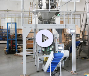 SUN-420配10頭稱顆粒包裝機(jī)